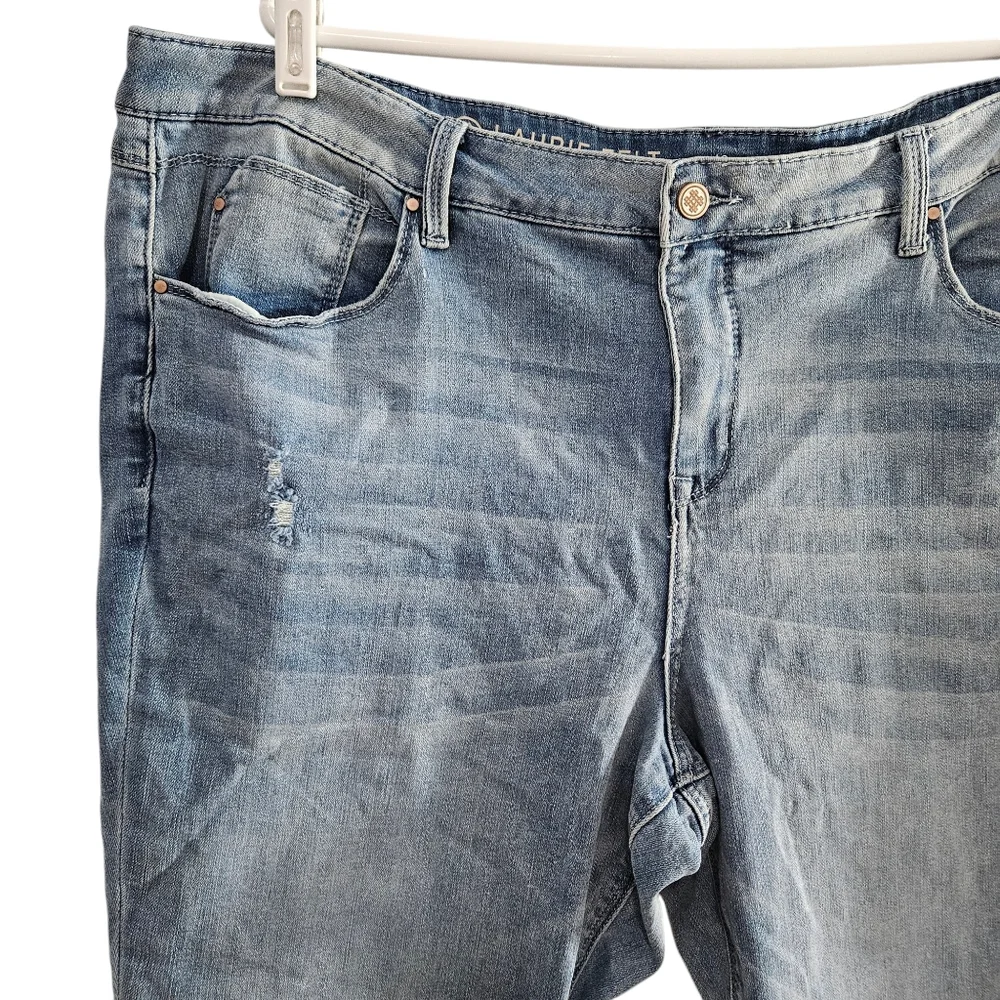 Laurie Felt Los Angeles Daisy Denim Girlfriend Jeans Plus Size 20W